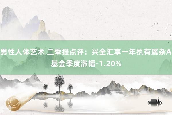 男性人体艺术 二季报点评：兴全汇享一年执有羼杂A基金季度涨幅-1.20%