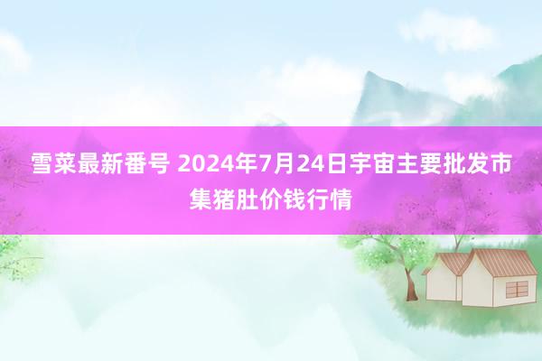 雪菜最新番号 2024年7月24日宇宙主要批发市集猪肚价钱行情