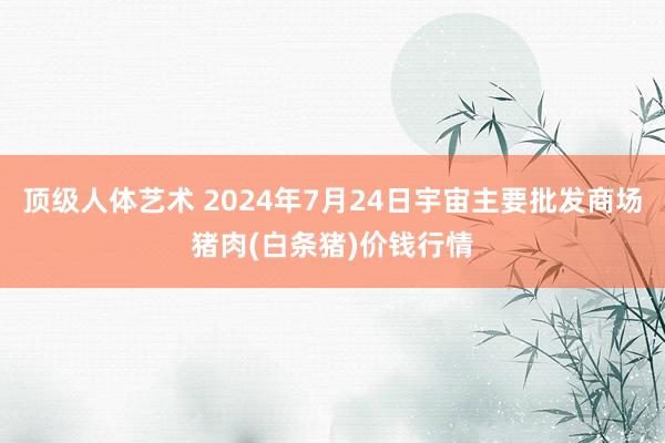 顶级人体艺术 2024年7月24日宇宙主要批发商场猪肉(白条猪)价钱行情