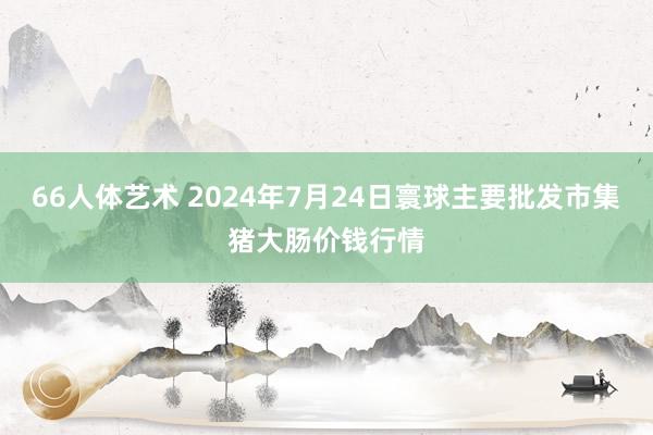 66人体艺术 2024年7月24日寰球主要批发市集猪大肠价钱行情