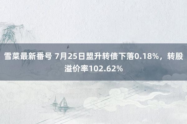 雪菜最新番号 7月25日盟升转债下落0.18%，转股溢价率102.62%