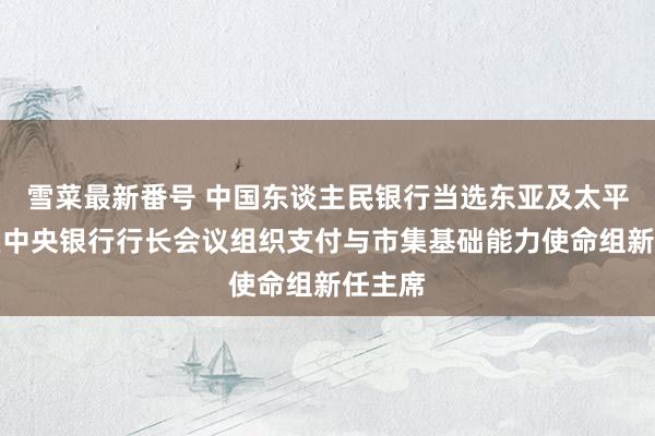 雪菜最新番号 中国东谈主民银行当选东亚及太平洋地区中央银行行长会议组织支付与市集基础能力使命组新任主席