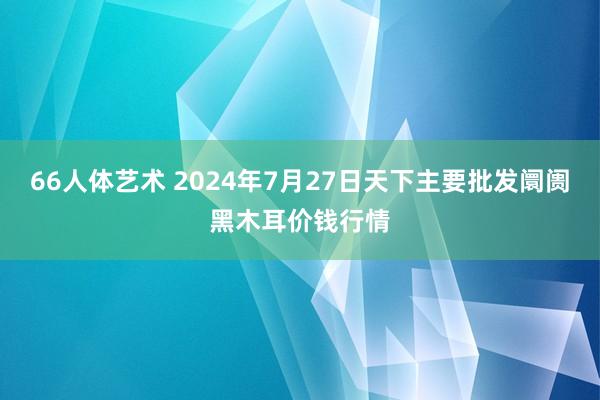 66人体艺术 2024年7月27日天下主要批发阛阓黑木耳价钱行情