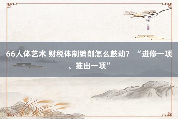 66人体艺术 财税体制编削怎么鼓动？ “进修一项、推出一项”