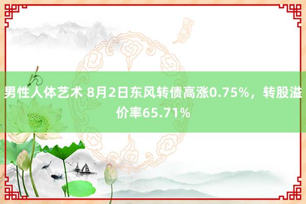 男性人体艺术 8月2日东风转债高涨0.75%，转股溢价率65.71%