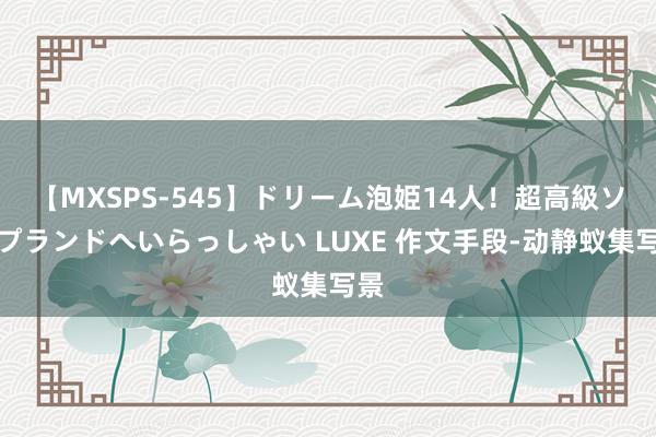 【MXSPS-545】ドリーム泡姫14人！超高級ソープランドへいらっしゃい LUXE 作文手段-动静蚁集写景