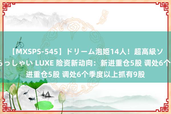 【MXSPS-545】ドリーム泡姫14人！超高級ソープランドへいらっしゃい LUXE 险资新动向：新进重仓5股 调处6个季度以上抓有9股