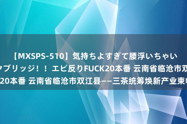 【MXSPS-510】気持ちよすぎて腰浮いちゃいました！絶頂のイクイクブリッジ！！エビ反りFUCK20本番 云南省临沧市双江县——三茶统筹焕新产业柬帖