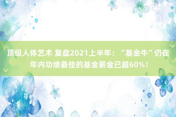 顶级人体艺术 复盘2021上半年：“基金牛”仍在 年内功绩最佳的基金薪金已超60%！