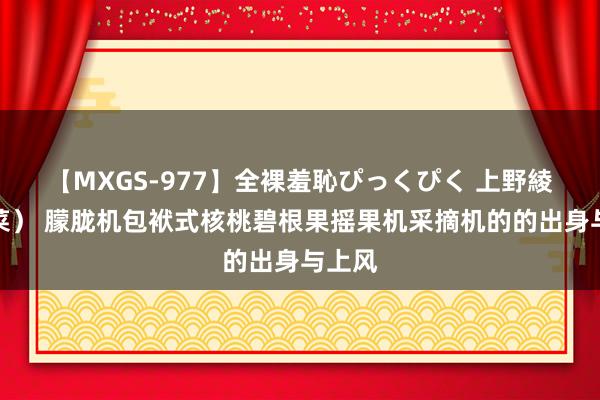 【MXGS-977】全裸羞恥ぴっくぴく 上野綾（雪菜） 朦胧机包袱式核桃碧根果摇果机采摘机的的出身与上风