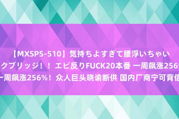 【MXSPS-510】気持ちよすぎて腰浮いちゃいました！絶頂のイクイクブリッジ！！エビ反りFUCK20本番 一周飙涨256%！众人巨头晓谕断供 国内厂商宁可背信也要毁单！