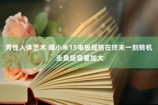 男性人体艺术 曝小米15电板规格在终末一刻转机 圭臬版容量加大