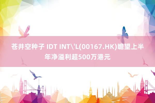 苍井空种子 IDT INT'L(00167.HK)瞻望上半年净溢利超500万港元