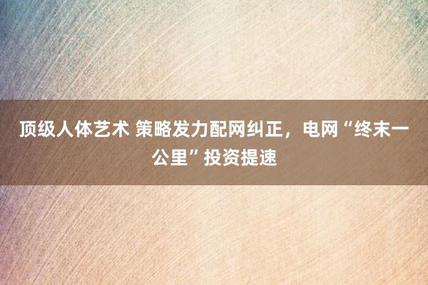 顶级人体艺术 策略发力配网纠正，电网“终末一公里”投资提速