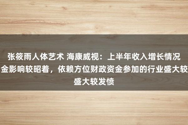 张筱雨人体艺术 海康威视：上半年收入增长情况受资金影响较昭着，依赖方位财政资金参加的行业盛大较发愤