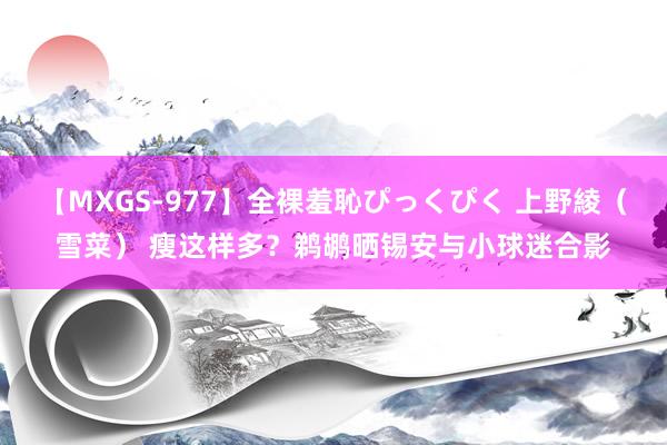 【MXGS-977】全裸羞恥ぴっくぴく 上野綾（雪菜） 瘦这样多？鹈鹕晒锡安与小球迷合影