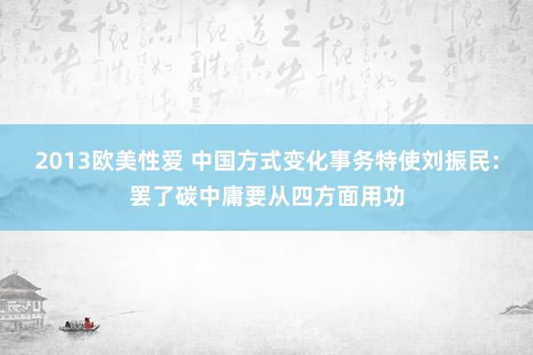 2013欧美性爱 中国方式变化事务特使刘振民：罢了碳中庸要从四方面用功