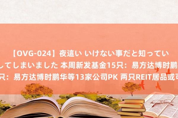 【OVG-024】夜這い いけない事だと知っていたけど生中出しまで許してしまいました 本周新发基金15只：易方达博时鹏华等13家公司PK 两只REIT居品或可温和