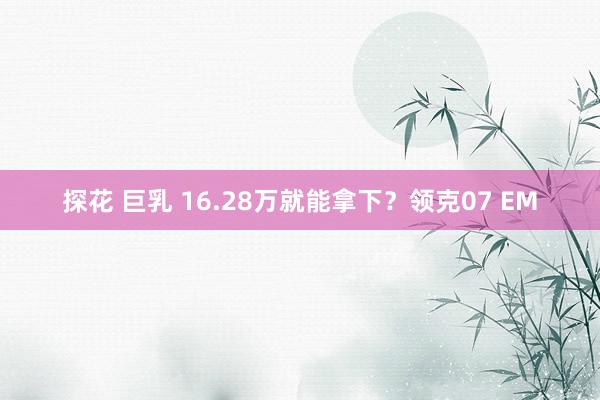 探花 巨乳 16.28万就能拿下？领克07 EM