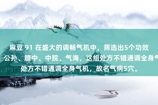 麻豆 91 在盛大的调畅气机中，筛选出5个功效独有的腧穴：内关、公孙、膻中、中脘、气海，这组处方不错通调全身气机，故名气病5穴。