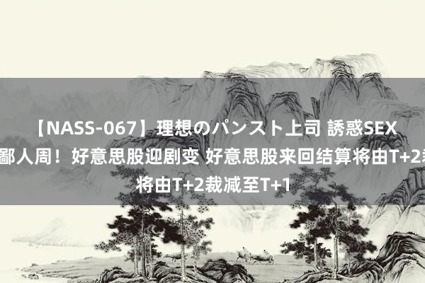 【NASS-067】理想のパンスト上司 誘惑SEX総集編 就鄙人周！好意思股迎剧变 好意思股来回结算将由T+2裁减至T+1