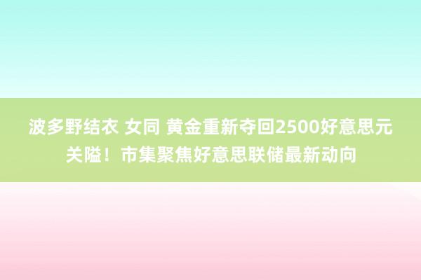 波多野结衣 女同 黄金重新夺回2500好意思元关隘！市集聚焦好意思联储最新动向