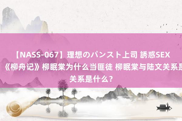 【NASS-067】理想のパンスト上司 誘惑SEX総集編 《柳舟记》柳眠棠为什么当匪徒 柳眠棠与陆文关系是什么？