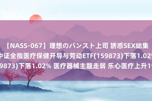 【NASS-067】理想のパンスト上司 誘惑SEX総集編 ETF最前方 | 天弘中证全指医疗保健开导与劳动ETF(159873)下落1.02% 医疗器械主题走弱 乐心医疗上升19.98%