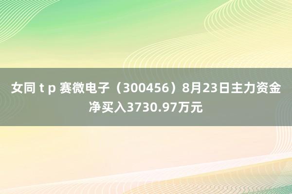 女同 t p 赛微电子（300456）8月23日主力资金净买入3730.97万元