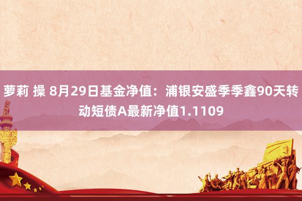 萝莉 操 8月29日基金净值：浦银安盛季季鑫90天转动短债A最新净值1.1109