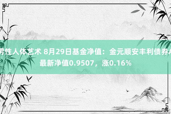 男性人体艺术 8月29日基金净值：金元顺安丰利债券A最新净值0.9507，涨0.16%