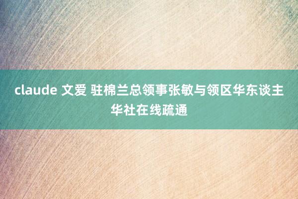 claude 文爱 驻棉兰总领事张敏与领区华东谈主华社在线疏通