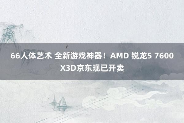 66人体艺术 全新游戏神器！AMD 锐龙5 7600X3D京东现已开卖