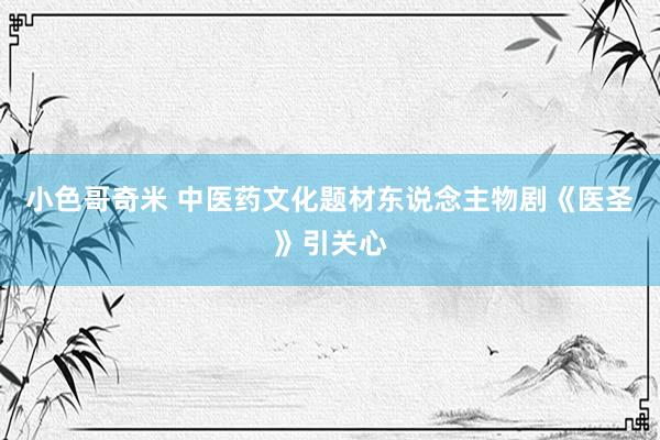 小色哥奇米 中医药文化题材东说念主物剧《医圣》引关心