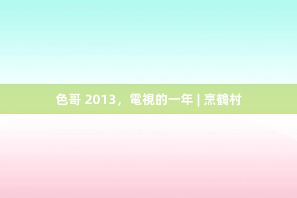 色哥 2013，電視的一年 | 烹鶴村